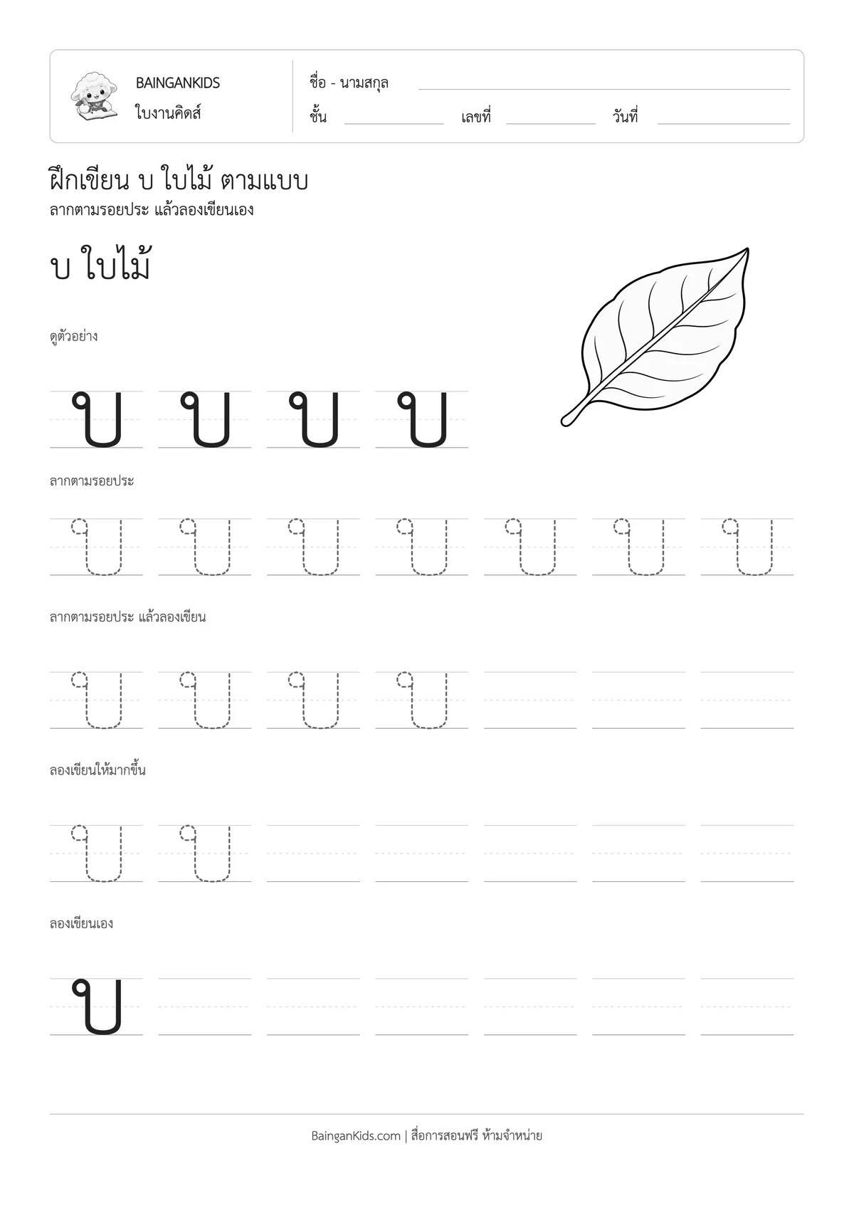 ปก ฝึกเขียน บ ใบไม้