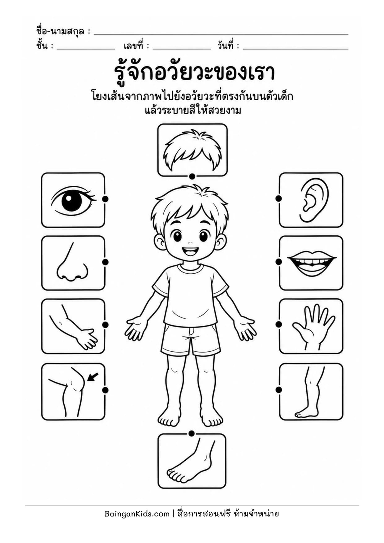 ปก รู้จักอวัยวะของเรา โยงเส้นจับคู่และระบายสี (Body Parts Matching)