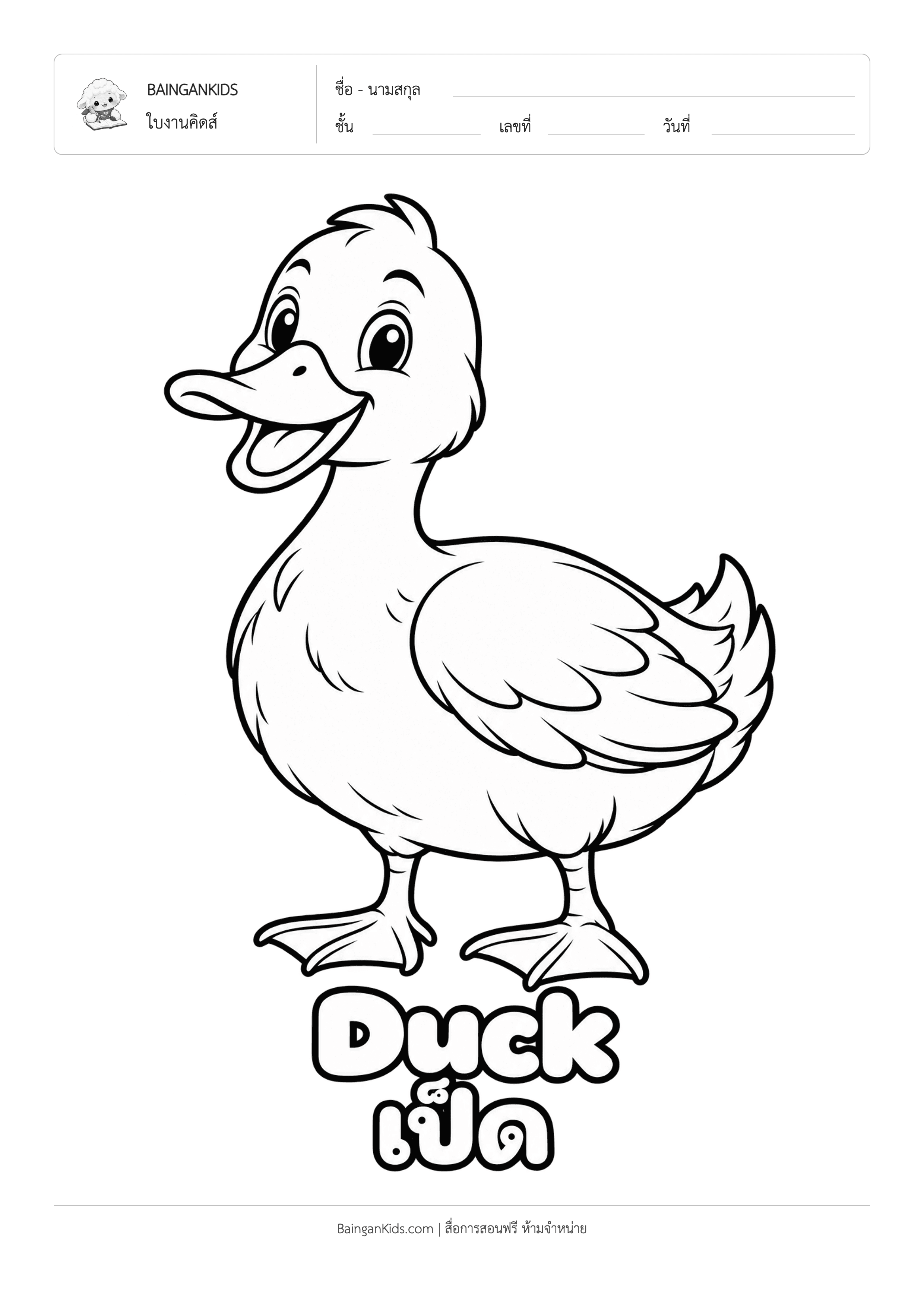 ปก ระบายสี เป็ด (Duck)