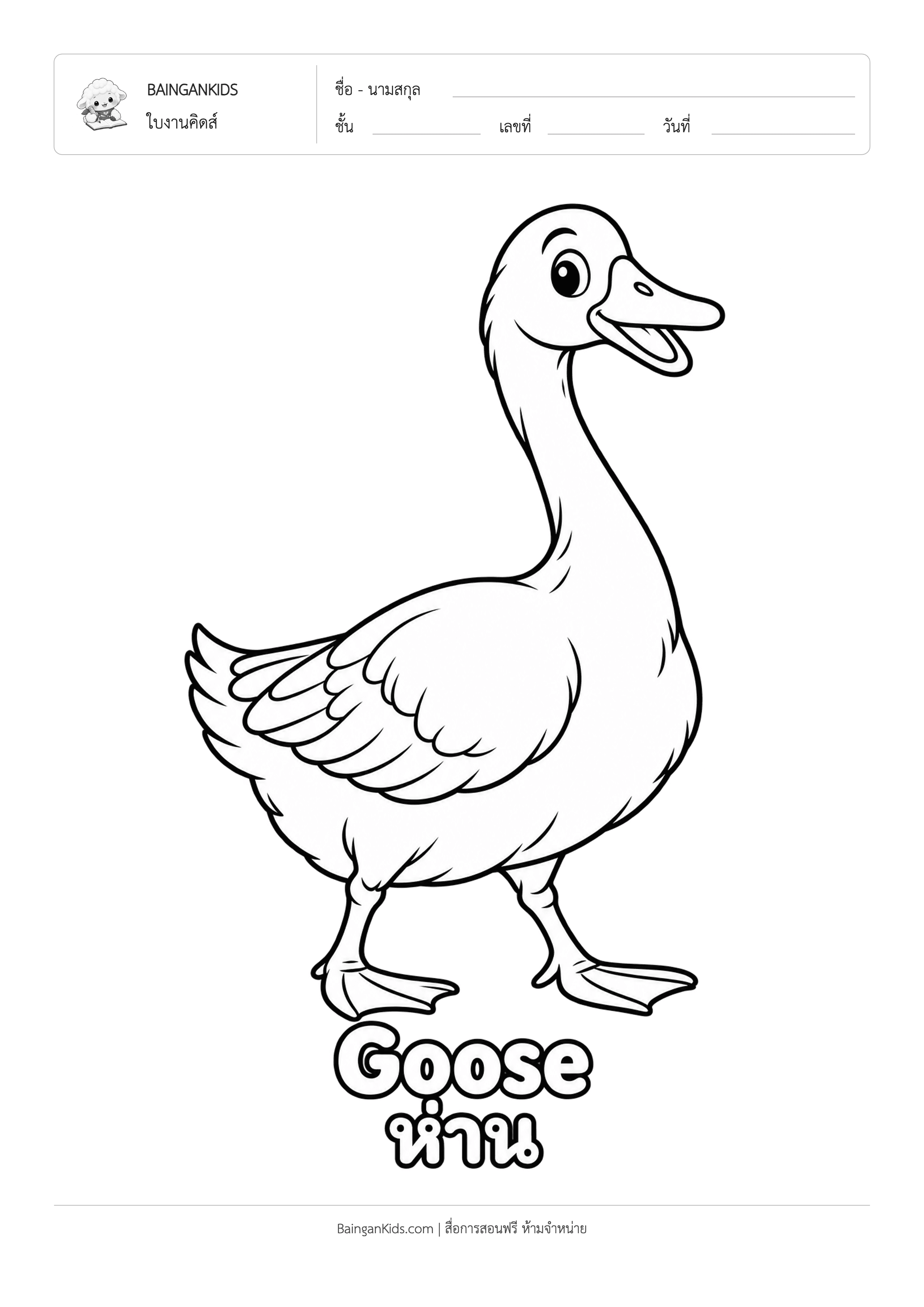 ปก ระบายสี ห่าน (Goose)