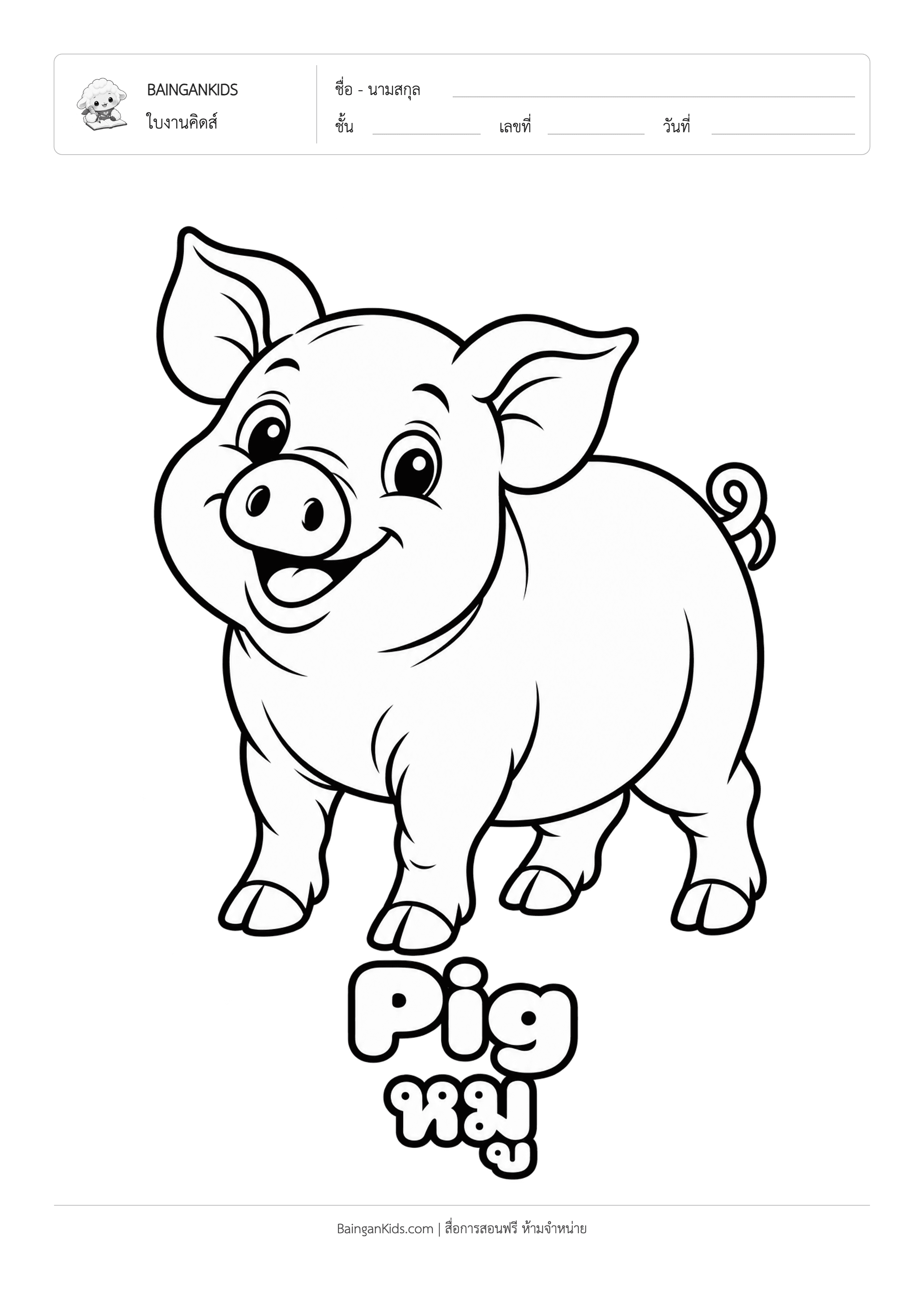 ปก ระบายสี หมู (Pig)