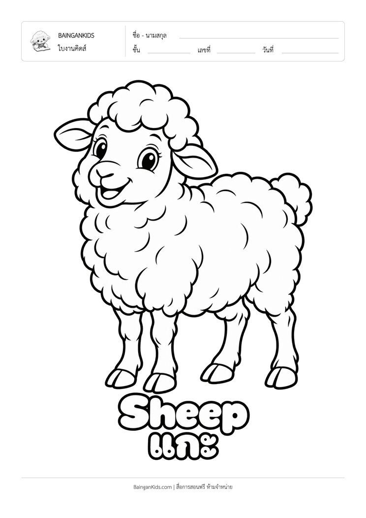 ระบายสี แกะ (Sheep) ตัวอย่างหน้าที่ 1
