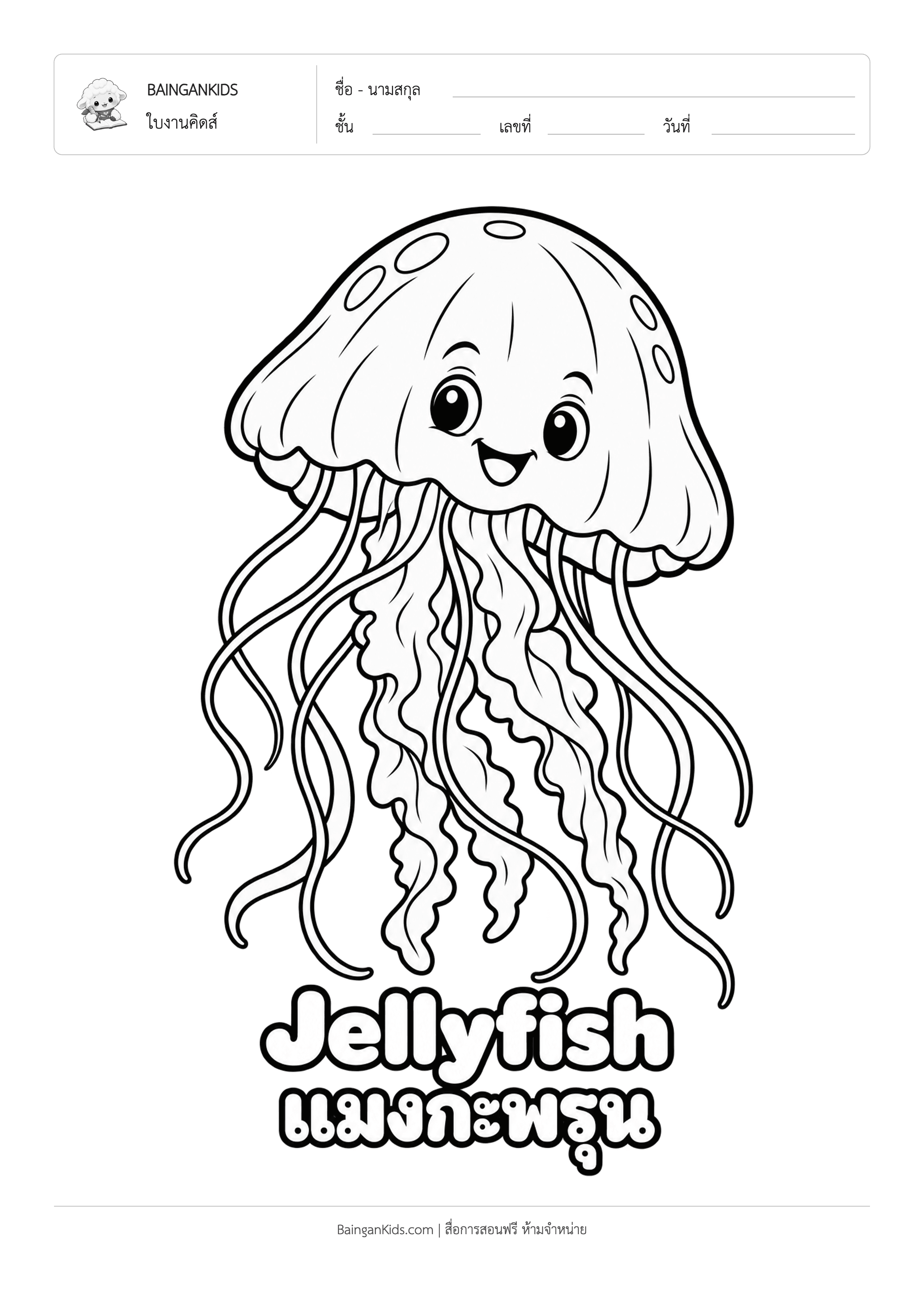 ปก ระบายสี แมงกะพรุน (Jellyfish)