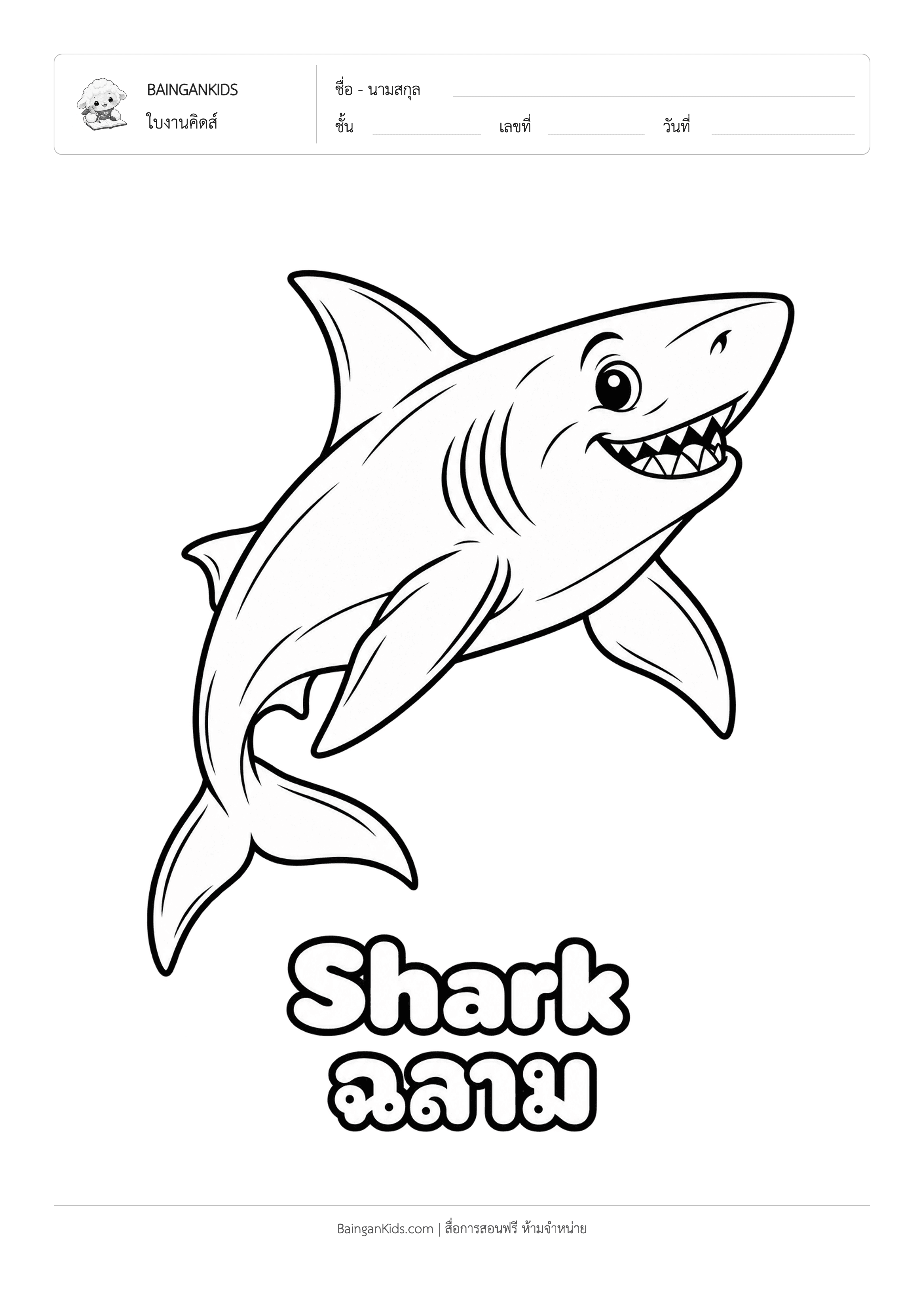 ปก ระบายสี ปลาฉลาม (Shark)