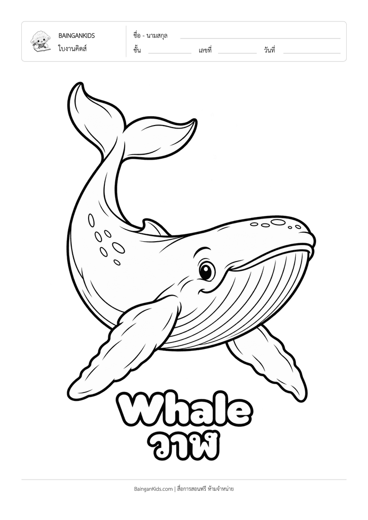 ระบายสี วาฬ (Whale) ตัวอย่างหน้าที่ 1