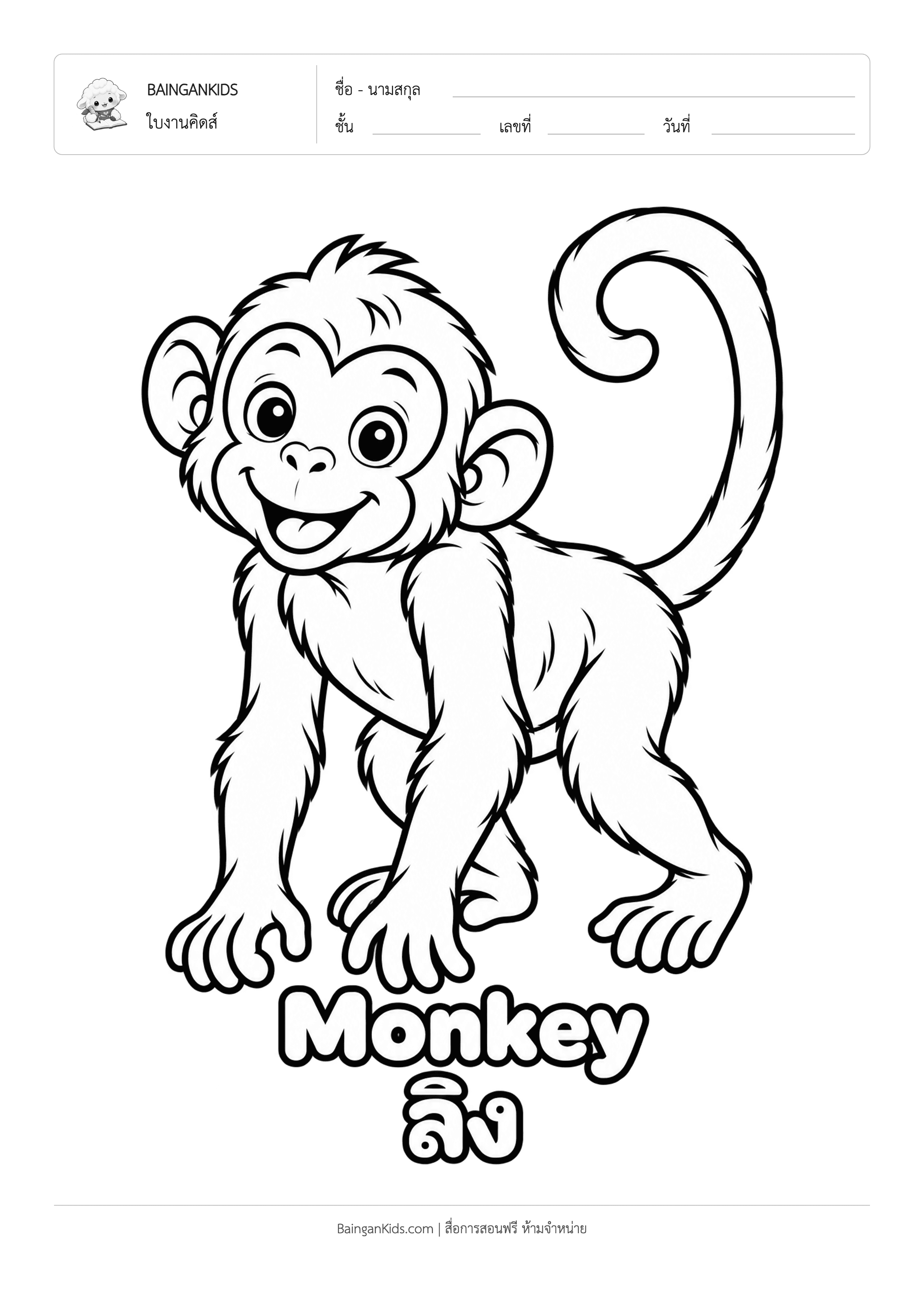 ปก ระบายสี ลิง (Monkey)