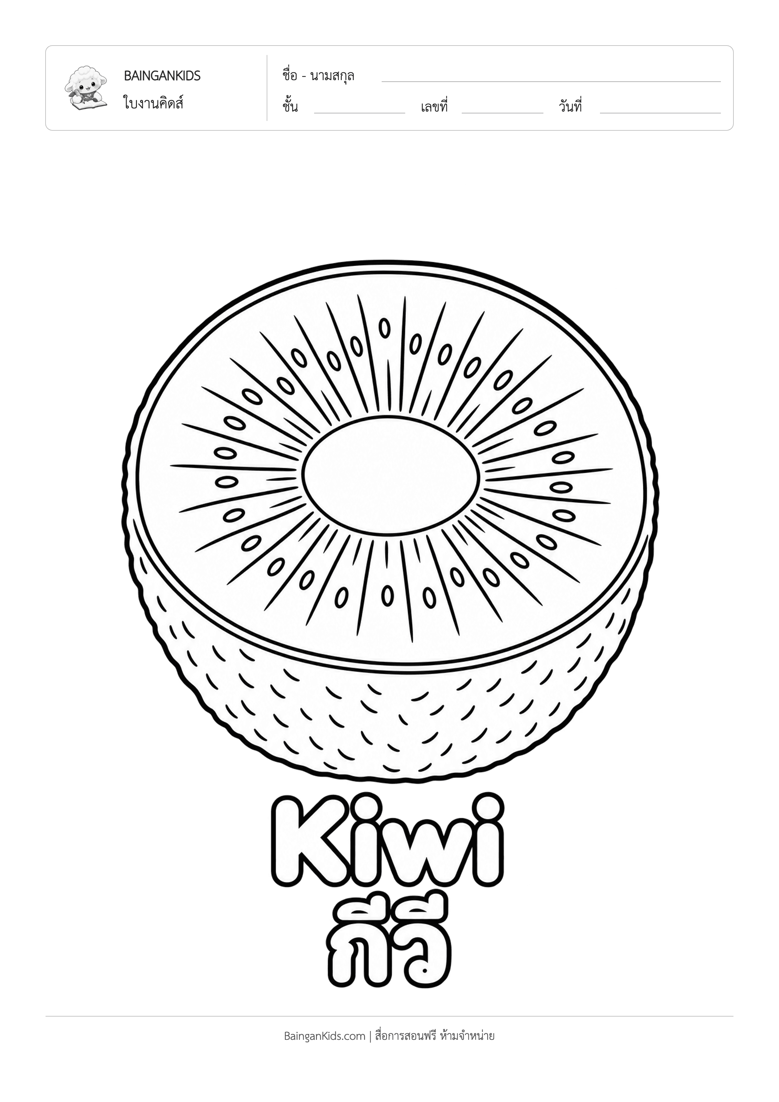 ปก ระบายสี กีวี