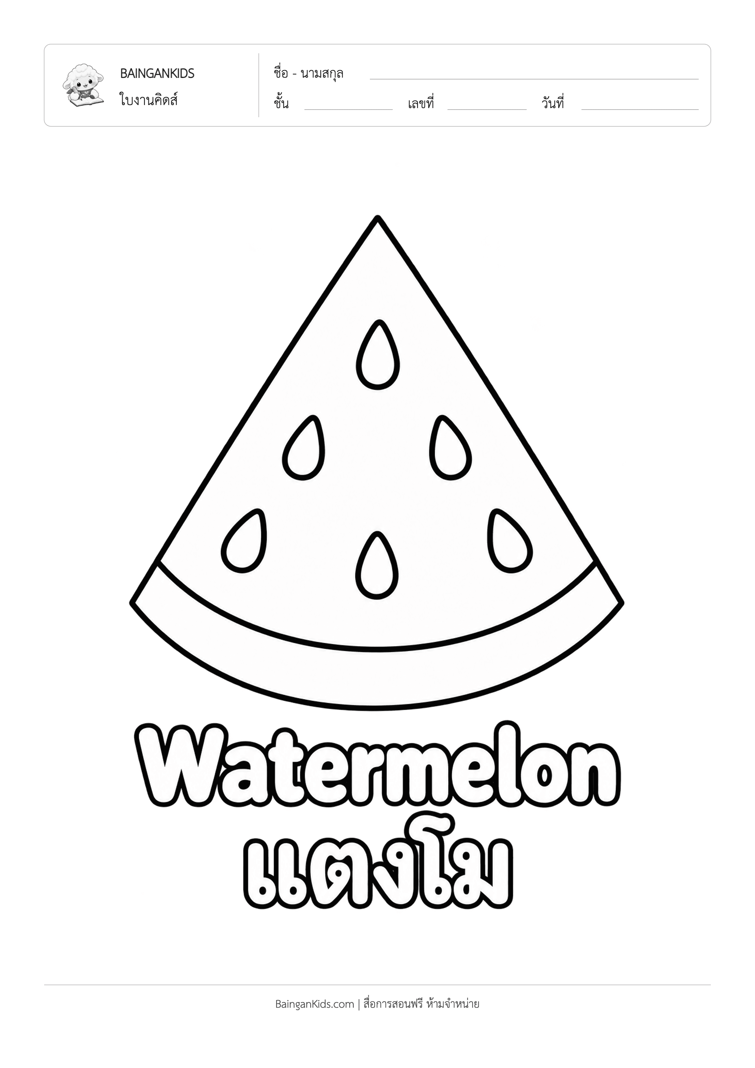 ปก ระบายสี แตงโม